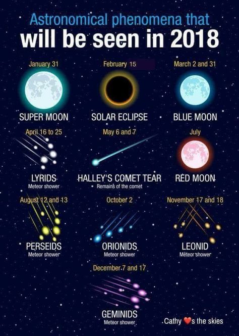 2018 Celestial Events Halley's Comet, Astronomy Lover, Space Facts, The Planets, The Solar System, Space Stars, Space Science, Space And Astronomy, Science And Nature