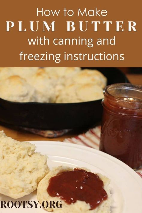 Slow Cooker Plum Butter, Wild Plum Butter Recipe, Canning Plums Recipes, Plum Butter Recipe Canning, Plum Sauce Canning Recipe, Plum Recipes Canning, Plum Butter Recipe, Plum Freezer Jam, Canning Plums