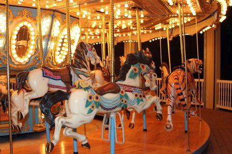 Star Spangled Carousel - Holiday World & Splashin Safari Holiday World Indiana, State Fair Theme, Justice Band, Night Carnival, Antique Carousel, Fair Theme, Seaside Oregon, Carousel Animals, Composite Photography