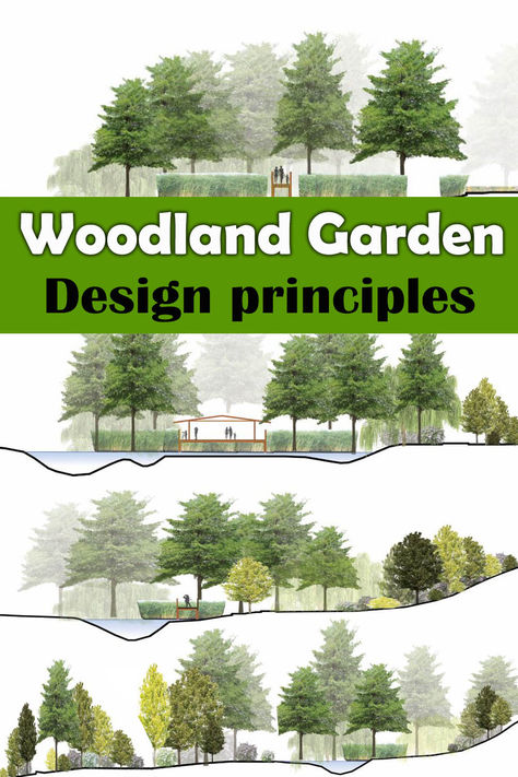 Large Back Garden Design, Organic Landscape Design Layout, Landscape Planning Layout, Woodland Landscape Design, Woodland Front Yard Landscaping, Forest Edge Garden, Meadow Garden Design, Woodland Planting Scheme, Pnw Backyard Landscaping