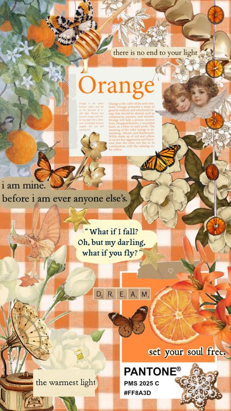 Orange Scrapbook Ideas, Orange Aesthetic Journal, Orange Fruit Wallpaper Aesthetic, Orange Flowers Aesthetic Wallpaper, Orange Collage Wallpaper, Orange Aesthetic Collage, Orange Collage Wallpaper Aesthetic, Wallpaper Movies, Orange Wallpapers