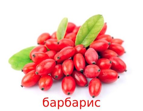 Cassia Cinnamon, Chinese Herbal Medicine, Reduce Hyperpigmentation, Goji Berry, Healthy Blood Sugar Levels, Sugar Cravings, Goji Berries, Natural Herbs, Herbal Medicine