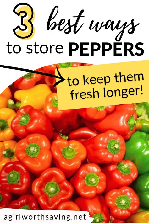 Storing vegetables is an art, and we have the brushes and the colors you need. Read this article to know how to store peppers! How To Store Green Peppers In Fridge, How To Store Green Peppers, How To Store Peppers From Garden, How To Keep Peppers Fresh Longer, How To Store Bell Peppers, How To Store Bell Peppers In Fridge, How To Store Peppers In Fridge, Storing Peppers, Store Peppers