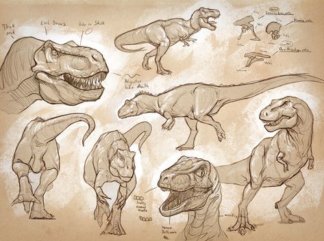 Dino studies, Lukas Siegmon on ArtStation at https://www.artstation.com/artwork/62GL0 Dinosaur Anatomy Drawing, Easy Sketch Drawing, Dino Sketch, Dinosaur Anatomy, Pencil Studies, Dinosaur Reference, Feline Anatomy, Dino Drawing, Dino Art