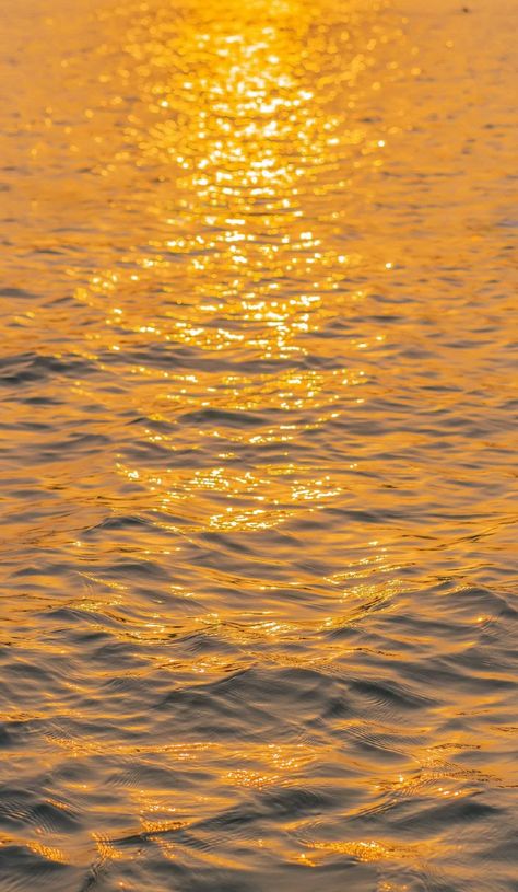 Golden Wallpaper Iphone, Golden Hour Wallpaper, Wallpaper Hd Nature, Iphone Wallpaper Orange, Yellow Aesthetic Pastel, Iphone Wallpaper Hd, Water Sunset, Beach Sunset Wallpaper, Beautiful Beach Pictures