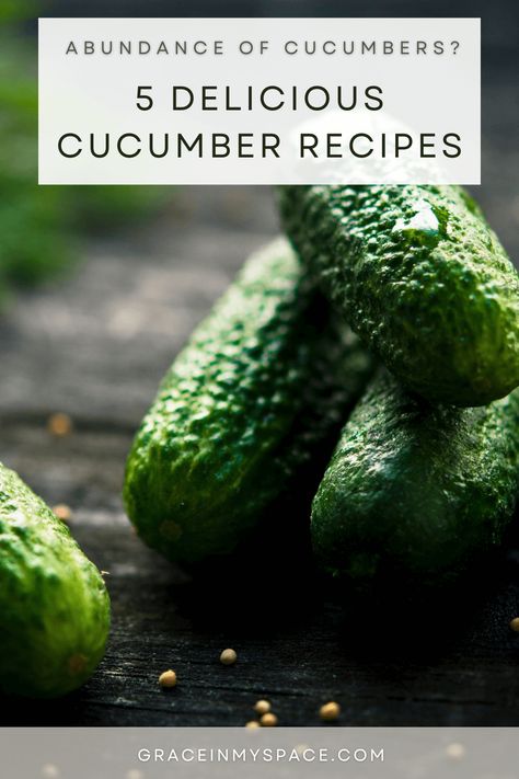 Enjoy these 5 easy cucumber recipes that will take the guess work out of what to do with a lot of cucumbers this gardening season. #cucumberrecipes #recipeideas #gardenharvest #cucumbers #pickles #tzatziki #soups What To Do With Cucumbers, Cucumber Quinoa Salad, Dill Pickle Recipe, Tzatziki Recipes, Vegetable Dip, Cucumber Sandwiches, Quinoa Healthy, Cucumber Recipes, Pickling Cucumbers