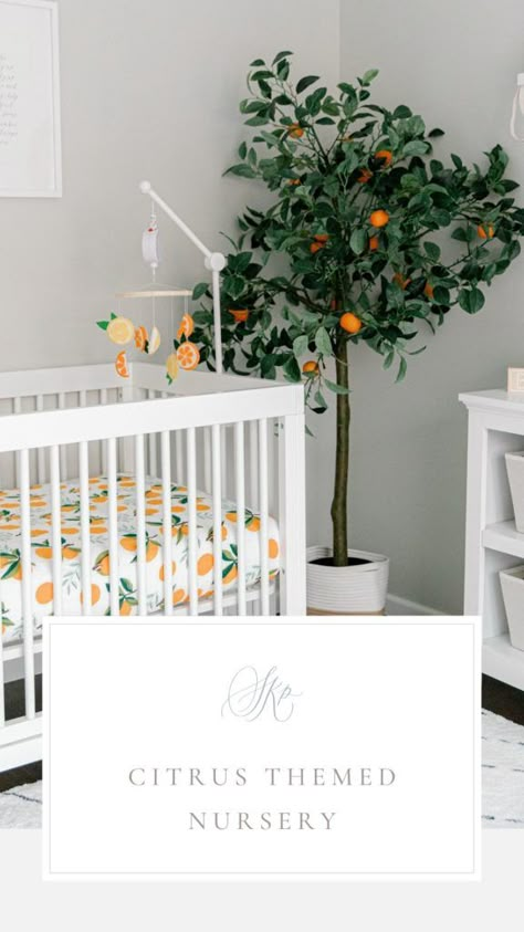 Orange Fruit Theme Nursery, Florida Themed Nursery, Clementine Baby Nursery, Florida Nursery Theme, Fruit Nursery Decor, Orange Themed Nursery, Citrus Nursery Theme, Fruit Nursery Theme, Lemon Nursery Theme