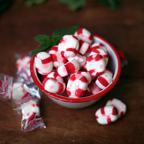 Red Bird Peppermint Puffs Peppermint Puffs, Sugar Cookie Icing Recipe, Christmas Candy Easy, Potato Candy, Cookie Icing Recipe, Candy Factory, Sugar Cookie Icing, Puff Recipe, Candy Treats