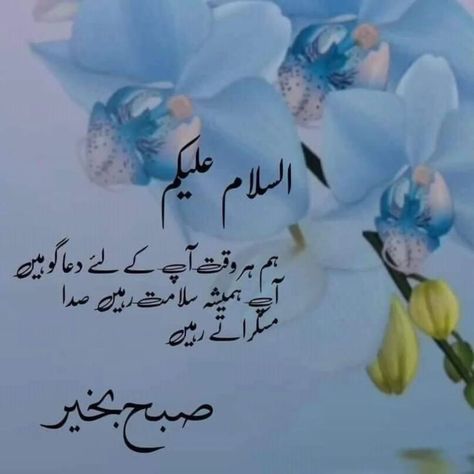 #subhabakhair🌞🌝 #Assalamalaikum #everyoneシ゚ #followersシ゚ #ameen❤️ Jumma Mubarak Dua, Hello Morning, Sweet Good Morning Images, Pak Army Soldiers, Cute Messages For Him, Subha Bakhair, Jumma Mubarik, Subah Bakhair, Good Day Messages