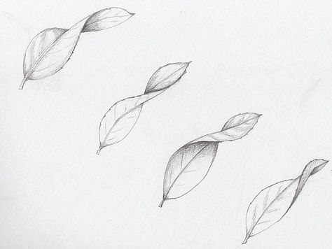 Curled leaves Curled Leaf Drawing, Falling Leaves Drawing, Leaves Falling Drawing, Leaf Sketch, Pencil Drawings Of Flowers, Flower Drawing Tutorials, Flower Art Drawing, Leaf Drawing, Flower Sketches