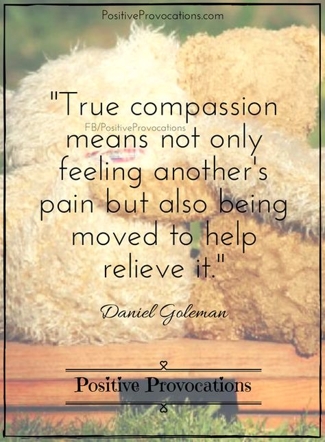 27 Soulful Quotes to Ignite Compassion from Within | *Positive Provocations* Chaplaincy Quotes, Bushido Quotes, Compassionate Quotes, Quotes About Compassion, Quotes On Compassion, Happy Soul Quotes, Compassion Meaning, Soulful Quotes, Compassion Quotes