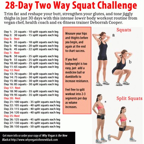 Squat Challenge 28 day squat challenge from BlacksGoingVegan.Com Squad Challenge, Lower Body Workout Routine, One Song Workouts, Lower Body Fat, Cheer Workouts, Squat Challenge, Workout Songs, Lower Body Workout, Morning Workout