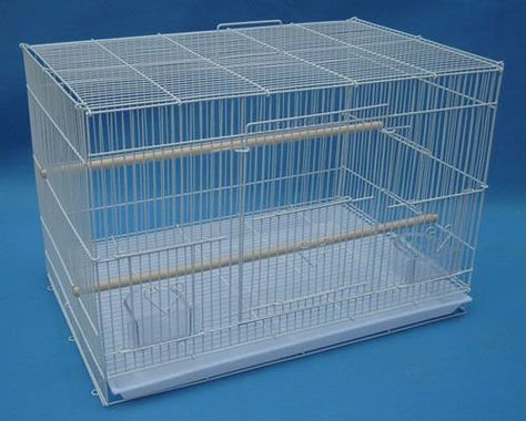 Budgie Aviary Outdoor, Finch Breeding Cages, Cool Parakeet Cages, Grey Parrot Cage, Flight Cage, Pet Bird Aesthetic Cage, Guinea Pig Cage, Cute Birds, Guinea Pigs