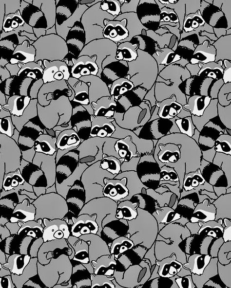 Tanuki Wallpaper, Raccoon Wallpaper, Silly Pfp, Raccoon Pattern, Cute Raccoon, Trash Panda, Trash To Treasure, Cute Wallpaper For Phone, Cool Wallpapers Art