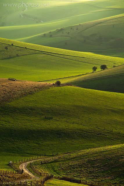 Essex England, England Countryside, Dreamy Places, South Downs, East Anglia, Image Nature, British Countryside, England And Scotland, Rolling Hills