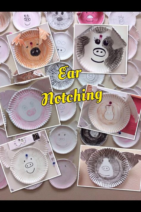 Ear notching activity with paper plates! Picture only!! Fun way to learn ear notching Agriculture Education Lessons, Agriculture Education Classroom, Agriculture Classroom, Teach Ag, Agricultural Education, Ag Science, Ag Day, 4h Projects, Ag Education