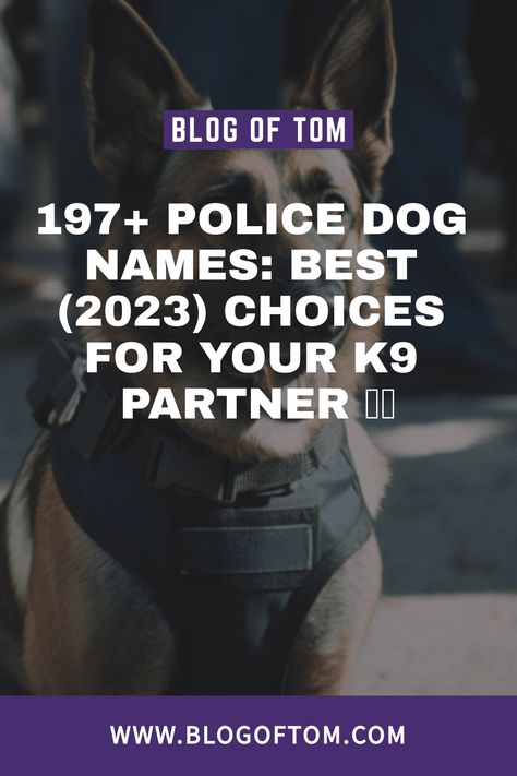 Let’s explore some incredible police dog names that will make your pooch stand out at the dog park and show off their bravery and dedication to fighting crime. Police Dog Names, Nypd Blue, Strong Names, Police Dog, Dirty Harry, Great Names, Female Names, Police Women, Cute Names