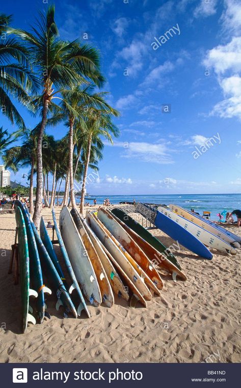 Download this stock image: Vertical View of Colorful Surfboards on Waikiki Beach Honolulu Hawaii - BB41ND from Alamy's library of millions of high resolution stock photos, illustrations and vectors. Photo Surf, Tropical Aesthetic, Wallpaper Sky, Dream Summer, Beach Pink, Book Genre, Waikiki Beach, Coconut Girl, Honolulu Hawaii