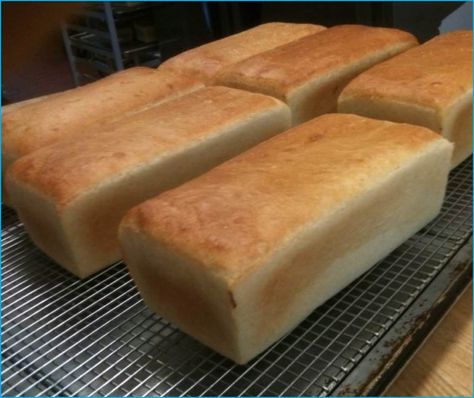 Salt Rising Bread, Appalachian Recipes, Wheat Bread Recipe, Loaves Of Bread, No Yeast Bread, No Rise Bread, Bread Baker, Whole Wheat Bread, Wheat Bread