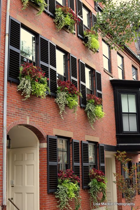 Window Boxes Second Story, Brick House With Window Boxes, Bay Window Planter Boxes, Colonial House With Window Boxes, Window Box Brick House, Window Box On Brick House, 2nd Story Window Boxes, Second Floor Window Boxes, Townhouse Flower Bed Front Yards