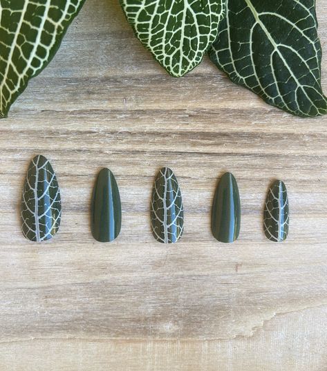 Plant Nails Design, Nature Inspired Nails, Plant Nails, Leaf Nail Art, Nerve Plant, Hippie Nails, Fall Nail Trends, Green Nail Designs, Leaf Designs