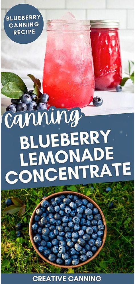 Discover Lemonade Concentrate Recipes for Canning with canning blueberry lemonade concentrate. This simple canning recipe uses only 3 ingredients to preserve the delicious taste of blueberries. Just add water and ice for a refreshing drink any time. Perfect for hot summer days! Find more canning fruit recipes, preserving fruit in jars, and fruit preserves at creativecanning.com. Blueberry Canning, Fruit In Jars, Simple Canning, Lemonade Concentrate Recipe, Canning Fruit Recipes, Preserving Fruit, Blueberry Water, Blueberry Jelly, Canning Jam Recipes