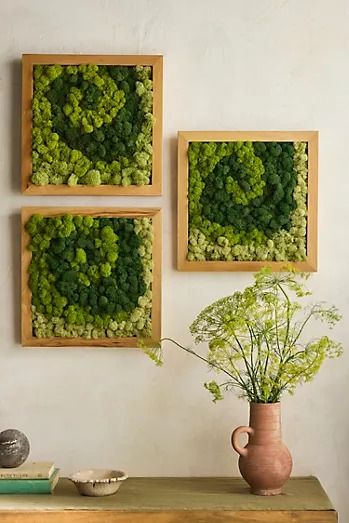 New Arrivals | Terrain Framed Flower Vase, Live Plant Wall Art, Plant Troughs, Moss Frame, Moss Centerpieces, Moss Decor, Reindeer Moss, Dogwood Blossoms, Organic Ceramics