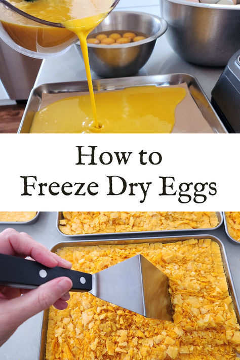 How To Freeze Dry Eggs, How To Use Freeze Dried Eggs, Freeze Dry Eggs, Freeze Drying Eggs, Freeze Dried Eggs, Rehydrating Freeze Dried Food, Dried Eggs, Dehydrating Recipes, Freeze Dried Food Storage