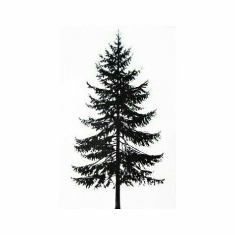 Tree Tattoo Ribs, Tree Tattoo Side, Evergreen Tree Tattoo, Tattoo Ribs, Pine Tattoo, Tattoo Tree, Pine Tree Tattoo, Forest Tattoos, Tattoo Girls