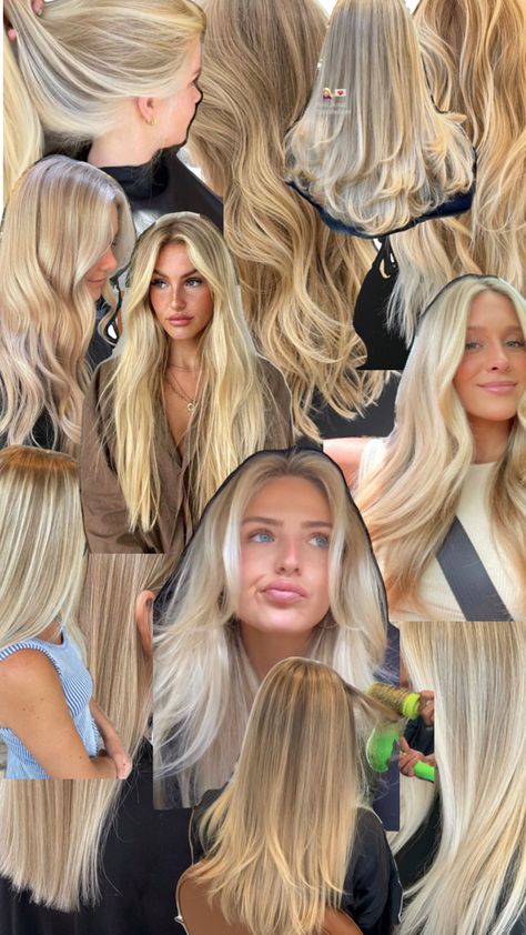 Back To Blonde, Collage Board, Blonde Hair, Blonde, Collage, Hair, Quick Saves