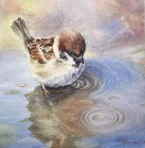 World Watercolor Group | “Sparrow” Watercolor on paper  28x28 cm | Facebook Sparrow Watercolor, Sparrow Painting, Art Knowledge, World Watercolor, Birds Paintings, Paintings Tutorials, Sparrow Bird, Watercolor Paintings Tutorials, Watercolor On Paper