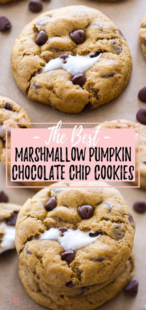 Pumpkin Marshmellow Recipes, Pumpkin Marshmallow Dessert, Pumpkin And Marshmallow Recipes, Pumpkin And White Chocolate Chip Cookies, Pumpkin Marshmallow Recipes, Pumpkin Smore Cookies, Pumpkin S’mores Cookies, Chocolate Chip Cookies With Marshmallows, Pumpkin Marshmallow Cookies