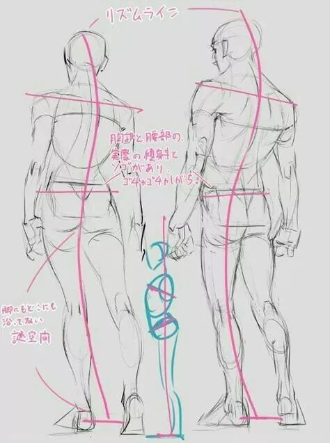 Anatomy Tutorial, Human Anatomy Drawing, Human Figure Drawing, Human Anatomy Art, Anatomy Sketches, Body Reference Drawing, Anatomy Poses, Poses References, Anatomy Drawing