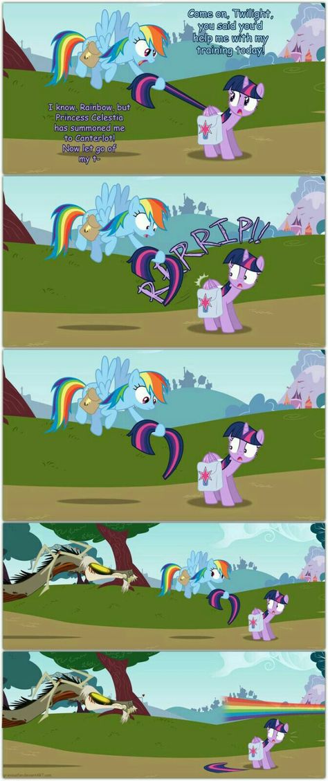 Rainbow Dash And Twilight Sparkle, Rainbow Dash And Twilight, Discord Funny, Group Background, We Bare Bears Human, Mlp Funny, Tiny Horses, Mlp Twilight, Mlp Memes