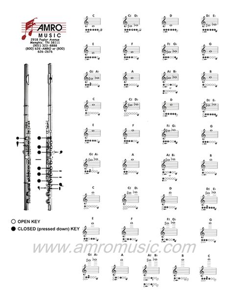 Flute fingering chart Trumpet Fingering Chart, Flute Fingering Chart, Flute Lessons, Woodwind Instrument, Flute Sheet Music, Band Director, Flute Music, Piano Songs, Super 8