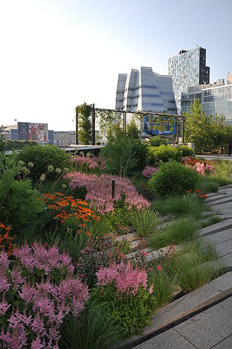 NYC - High Line Park with Frank Gehry's IAC building in the background. New York Rooftop Garden, The Highline New York, High Line Park New York, High Line Nyc, High Line New York, New York Garden, Highline Park, New York High Line, Highline Nyc