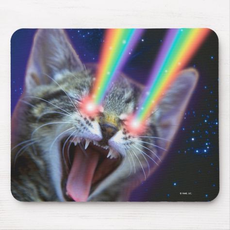 Cats In Space, Cat With Rainbow, Cat Glowing Eyes, Cat With Galaxy Glasses, Mouse Pads, Cats In Space Art, Trippy Cat, Galaxy Cat, Cat Mouse