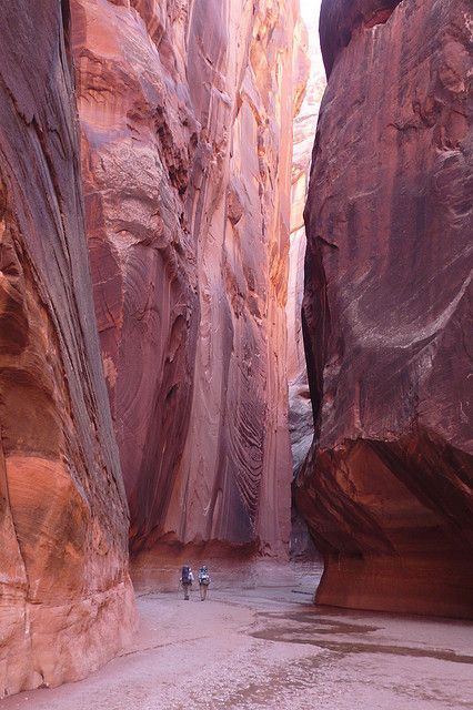 Buckskin Gulch, Slot Canyons Utah, Zion Utah, Virgin River, Mammoth Cave, Petra Jordan, Utah Travel, Slot Canyon, Utah Usa