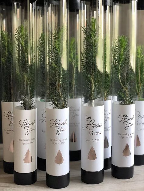 Tree Wedding Favors, Photographer Client Gifts, Tree Favors, Southern Thanksgiving, Let Love Grow, Event Favors, Best Wedding Favors, Fall Wedding Centerpieces, Rustic Wedding Favors