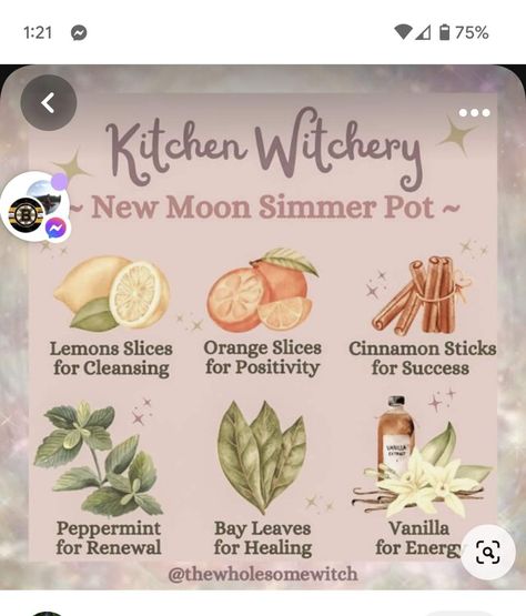 Autumn Simmer Pot, Wholesome Witch, Homemade Potpourri, Simmer Pot Recipes, Kitchen Witch Recipes, Witchy Kitchen, Potpourri Recipes, Simmer Pot, Magia Das Ervas