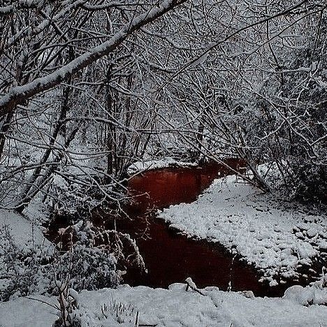 Blood On Snow, Blood Wallpaper, Medieval Aesthetic, Creepy Things, Blood Art, Dark Blood, Pandora Hearts, Red River, Fantasy Aesthetic