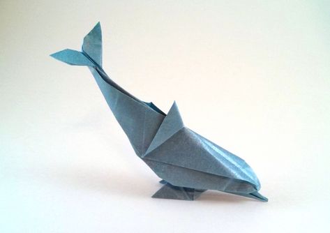 Origami Dolphin by Gerard Ty Sovann folded by Gilad Aharoni Origami Dolphin, Origami Yoda, Origami Star Box, Paper Shapes, Mache Art, Origami Bookmark, Origami Models, Origami Dragon, Origami For Beginners