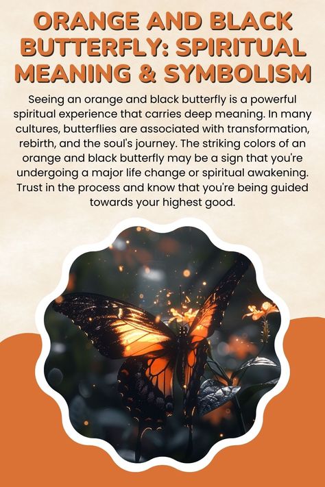 Orange and black butterfly. Seeing A Butterfly Meaning, Orange Spiritual Meaning, Black And Orange Butterfly Meaning, Orange Butterfly Meaning Spiritual, Butterflies Meaning, Butterfly Meaning Spiritual, Butterfly Spiritual Meaning, Butterfly Spiritual, Spirit Guide Signs