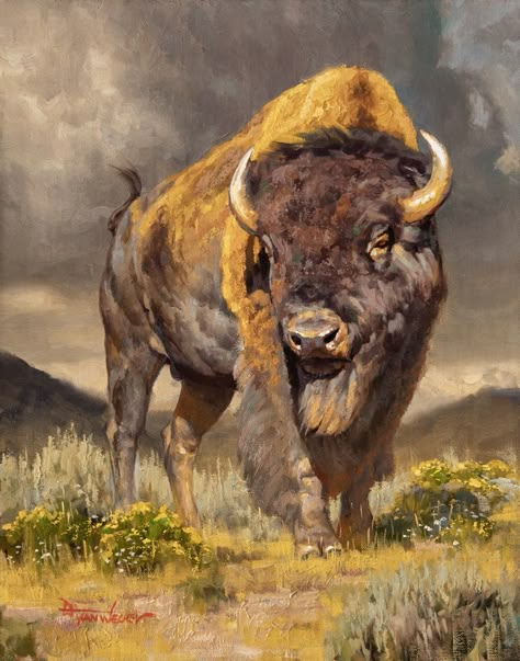 Dustin Van Wechel Cantankerous oil on linen 14h x 11w in 35.56h x 27.94w cm vand097 SOLD Bison are notoriously ill-tempered and few things quite embody the wild nature of the west like a bull bison. Intimidating on a good day, these often cantankerous creatures are forever a favorite subject of mine. #mondaymorning #bison #oldwest #art #yellowstone Buffalo Painting, Jackson Hole Art, Bison Art, Buffalo Art, Cowboy Artists, Representational Art, Wildlife Paintings, Wildlife Artists, Art Event