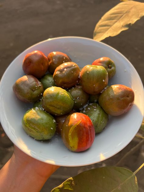 #Jocotes #elsalvador #fruit Salvador Culture, El Salvador Culture, Guatemalan Food, Salvadoran Food, Foodie Aesthetic, Story Food, Guatemalan Recipes, Fruit Stand, Caribbean Cuisine