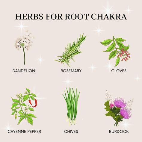 Tea & Rosemary☕️🌱 on Instagram: “Herbs for Root Chakra⁣ ⁣ Dandelion⁣ Cayenne Pepper⁣ Cloves/clover⁣ Rosemary⁣ Chives⁣ Burdock⁣ ⁣ #rootchakra #rootchakrahealing #herbs…” Chakra Herbs, Pilar Candles, Hoodoo Spells, Natural Healing Remedies, Witch Spell Book, Witch Spell, Cayenne Pepper, Planting Herbs, Root Chakra