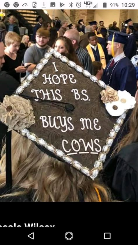 Ag Graduation Cap Ideas, Cow Themed Graduation Cap, Cowgirl Graduation Cap, Ag Graduation Cap, Country Graduation Cap Designs, Grad Cap Ideas Western, Western Cap Decoration Graduation, Cow Graduation Party Ideas, Morgan Wallen Graduation Cap