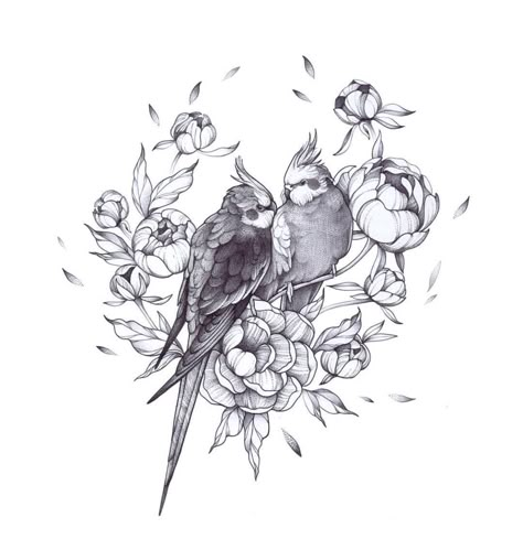 Black And White Parrot Tattoo, Parakeet Tattoo Design, Cockatiels Tattoo, Cockatiel Tattoo Design, Lovebirds Tattoo, Parrot Tattoo Design, Parakeet Tattoo, Cockatiel Drawing, Cockatiel Tattoo