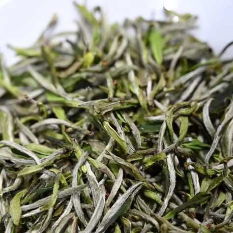 #whitetea Procured from the core producing area of white tea: Fuding City, Fujian Province, it is graded as White Peony. It is typical to have one bud and two leaves. The production of white peony tea has only undergone simple withering and drying processes, retaining its pure and fresh taste. We provide two grades of white tea. (1) The original leaves of the superior grade are picked immediately after picking the white hair silver needle, which is closer to the white hair silver needle.... Hair Silver, White Peony, White Peonies, White Tea, Silver Hair, White Hair, Peonies, Tea, Pure Products