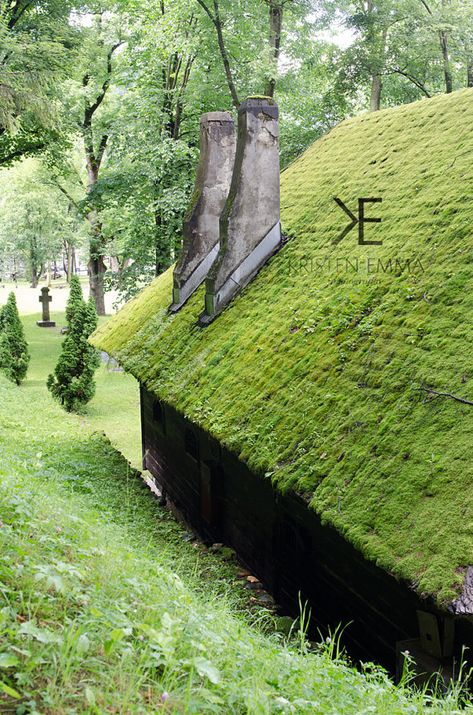 The Moss House | Bran, Braşov, Romania ~ Moss Roof, Log Cabin, Nature, Green, Unique Architecture, R Moss Roof, Moss House, Green Roof Garden, Timber Garage, English Architecture, Building A Cabin, Green Roofs, Fantasy Town, Dogs Trust